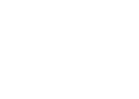 Logo THunderful